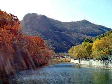 新澳天天开奖资料大全旅游团，女医在古代